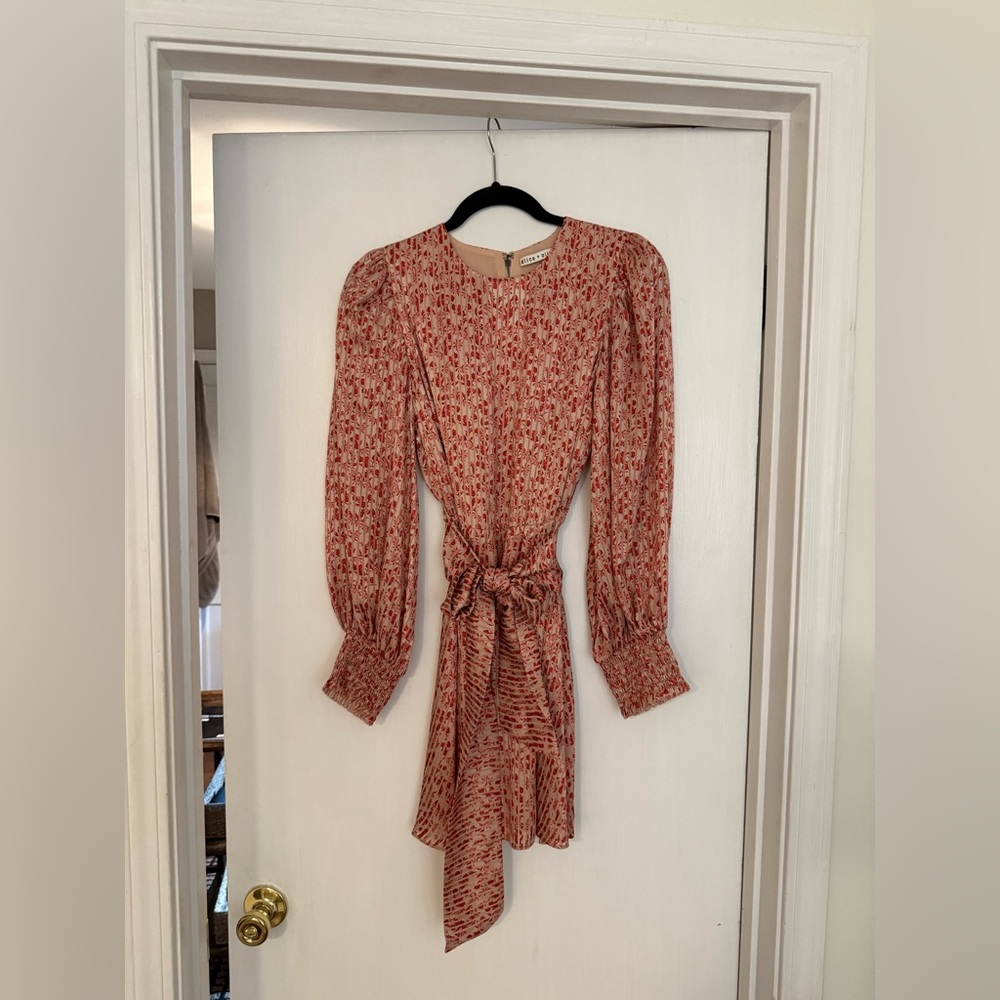 Alice + Olivia Long Sleeve Dress